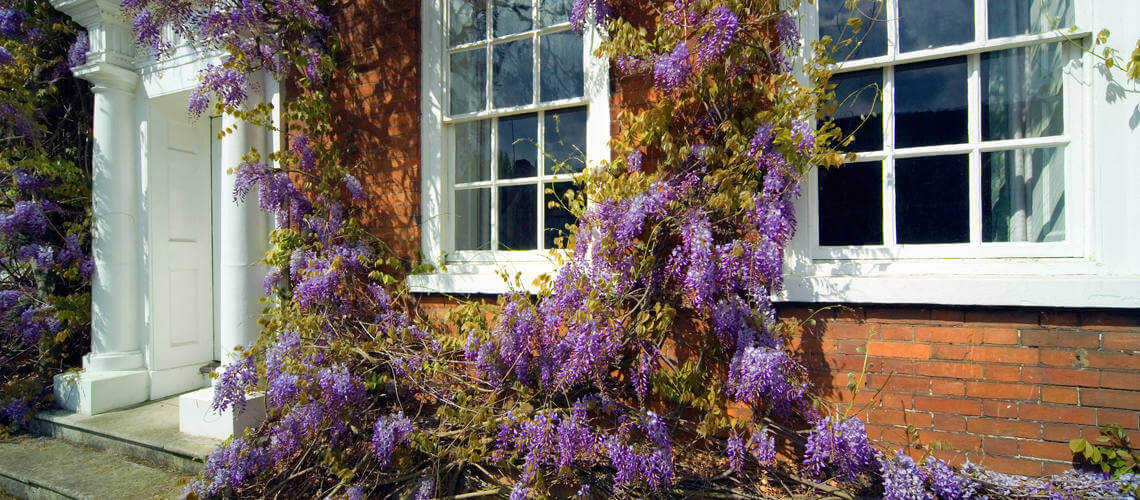 Sash Window restoration